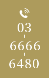 03-6666-6480