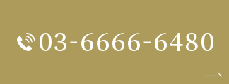 03-6666-6480